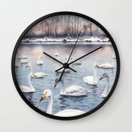 White mute swan on a lake Wall Clock
