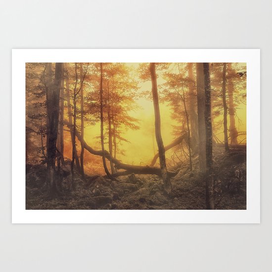 Mystical Forest Art Print