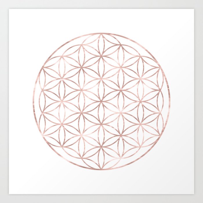 society6