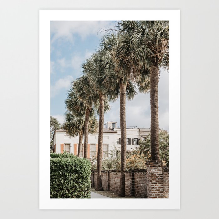Charleston Palms No. 4 | Beautiful Charleston Photography Art Print