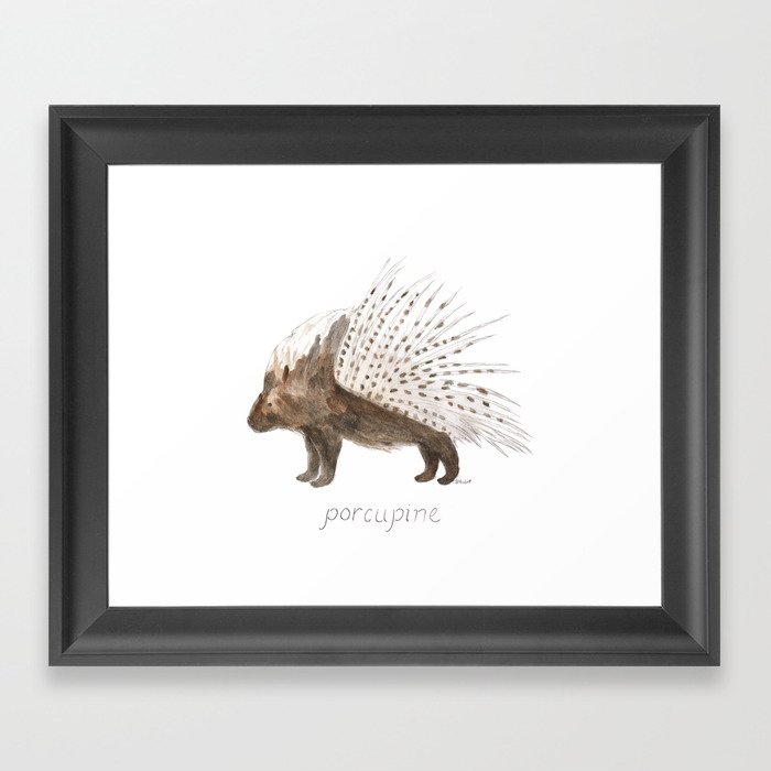 Porcupine Framed Art Print