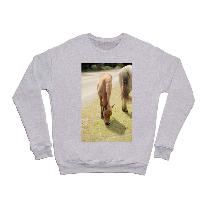 Grazing Crewneck Sweatshirt