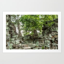 Ta Phrom, Angkor Archaeological Park, Siem Reap, Cambodia Art Print | Architecture, Tombraider, Siemreap, Worldheritagesites, Stranglerfigtree, Temples, Forestsettings, Taphrom, Landscape, Cambodia 