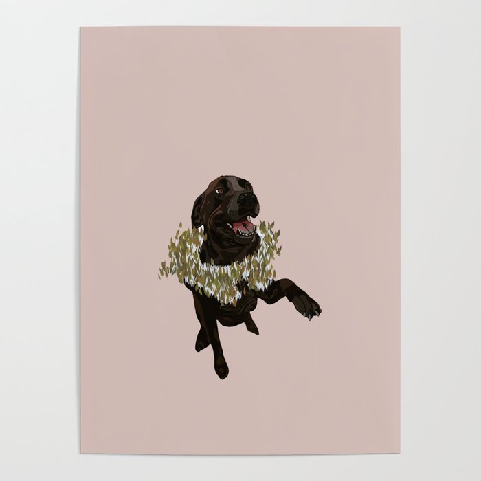 Lincoln the Lab in Pink Poster