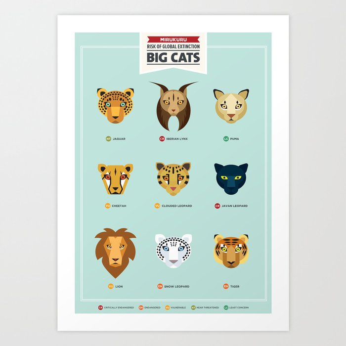 Endangered Big Cats Art Print by Mirukuru | Society6