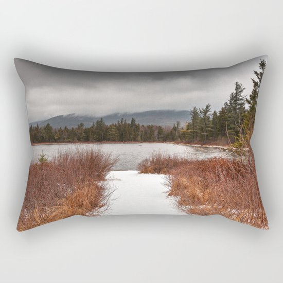 Winter Lily Pond Rectangular Pillow