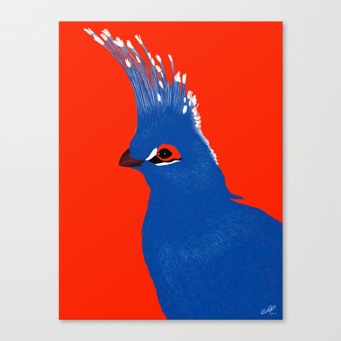 Turako red and blue Canvas Print
