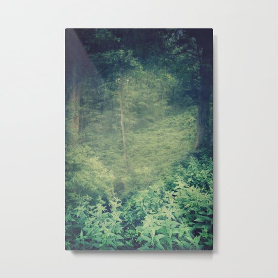 Solitude Metal Print