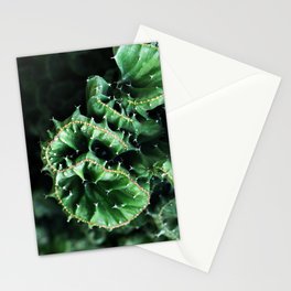 Emerald green Cactus Botanical Photography, Nature, Macro, Stationery Cards