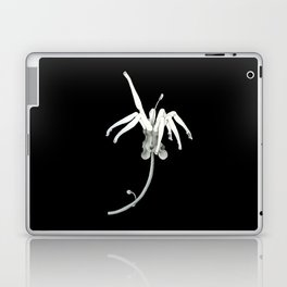 Imaginary Flower Laptop & iPad Skin
