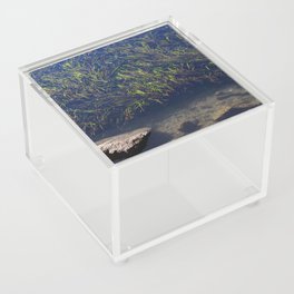 Sea Grass Acrylic Box