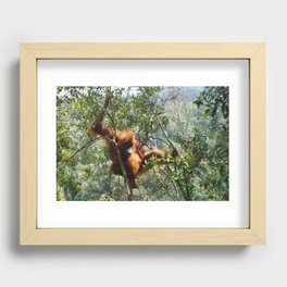 Person of the Forest Recessed Framed Print