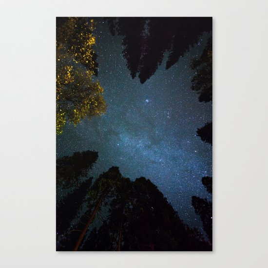 Night sky Canvas Print