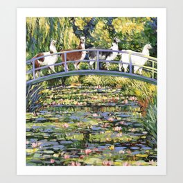 Llama and The Water Lily Pond Art Print