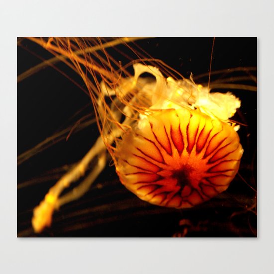 Jelly Fish Canvas Print