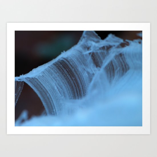 hoarfrost Art Print