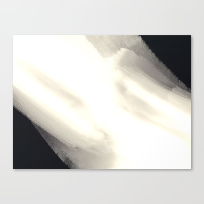 Black and white flash abstract Canvas Print