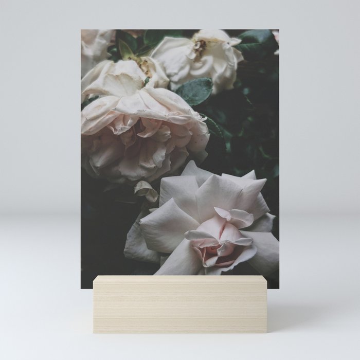 Garden Roses Mini Art Print