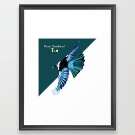 New Zealand Birds - The Tui Framed Art Print