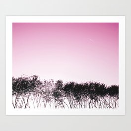 Lovely pink sky Art Print