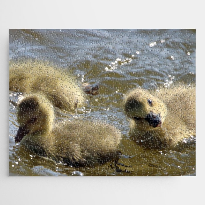 Silly Goslings Jigsaw Puzzle