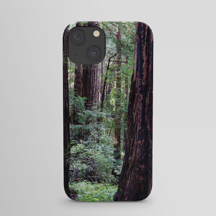 Muir Woods iPhone Case