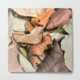 "Abstract" Leaves Art - Vibrant Colorful / Foliage Metal Print | Plants Foliage, Textureddesign, Pattern Abstract, Tropical Brown, Trendy, Gift Perfect, Aesthetic Pretty, Strongcolors, Texturedartwork, Painting Digital 