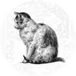 ginneko