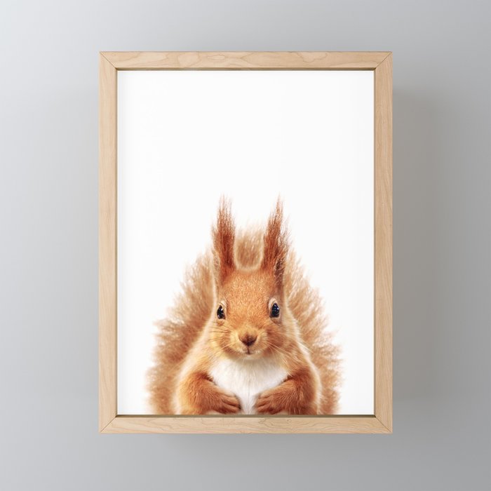 Baby Squirrel, Woodland Animals, Kids Art, Baby Animals Art Print By Synplus Framed Mini Art Print