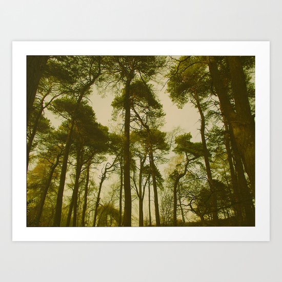Creepy Trees Art Print