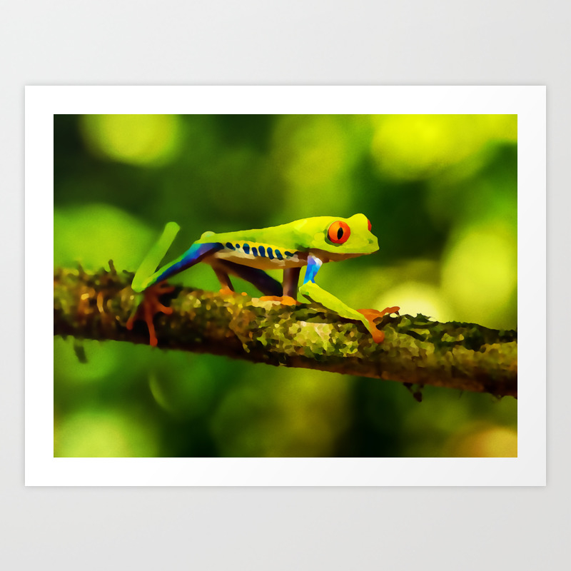 Red Eyed Tree Frog Watercolor Painting Art Print By Rustytaylor