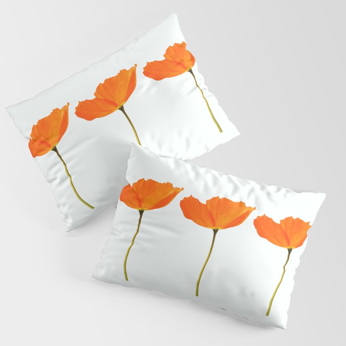 Three Orange Poppy Flowers White Background  Pillow Sham