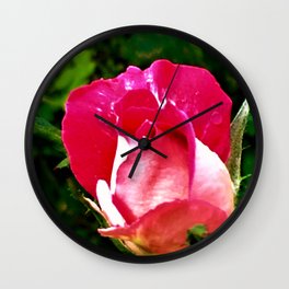 Evening Rose Wall Clock
