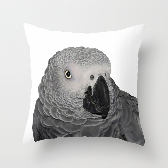 Parrot sales throw pillows