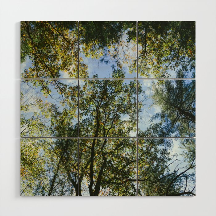 Forest DayDreaming Wood Wall Art