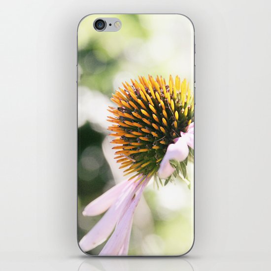 Elegance in Autumn iPhone & iPod Skin