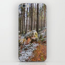Scottish Highlands Nature Trail in Early Spring Time  iPhone Skin