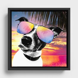 Crazy summer dog style Framed Canvas
