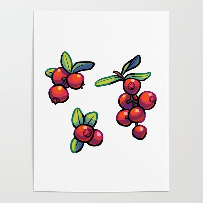 Cranberries Poster