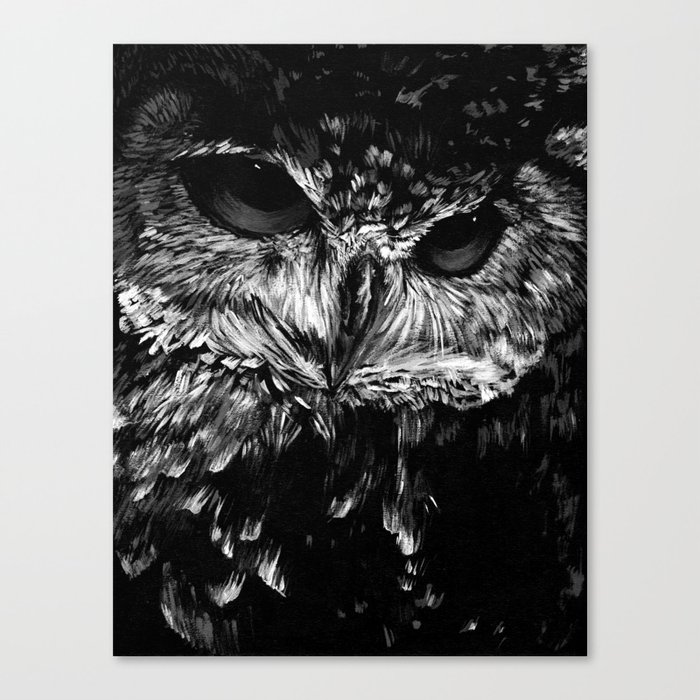 Wise owl Canvas Print
