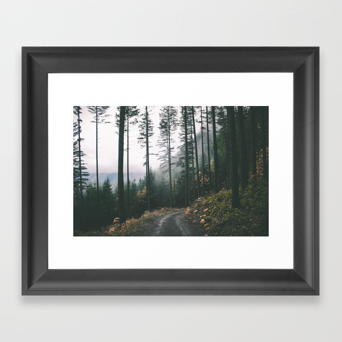 Forest Drive Framed Art Print