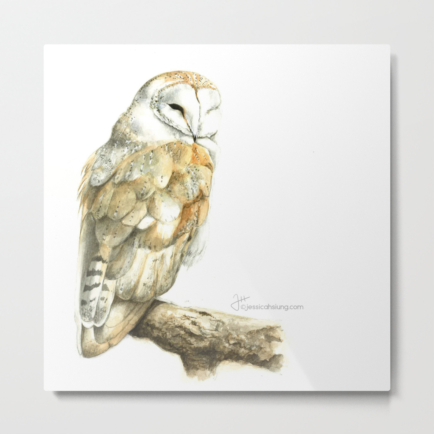 Barn Owl Metal Print By Jessicahsiung Society6