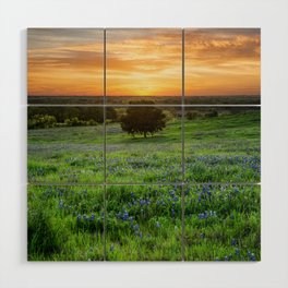 Bluebonnet Heaven - Bluebonnet Wildflowers and Lone Tree at Sunset in Texas Wood Wall Art
