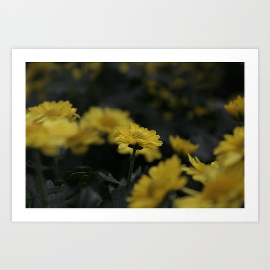 éphémère Art Print