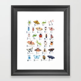 Insect Alphabet Framed Art Print