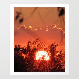 Sunset at Hallett Cove Art Print | Tranquality, Colors, Sun, Hallettcove, Evening, Sea, Clouds, Trees, Colours, Sunset 