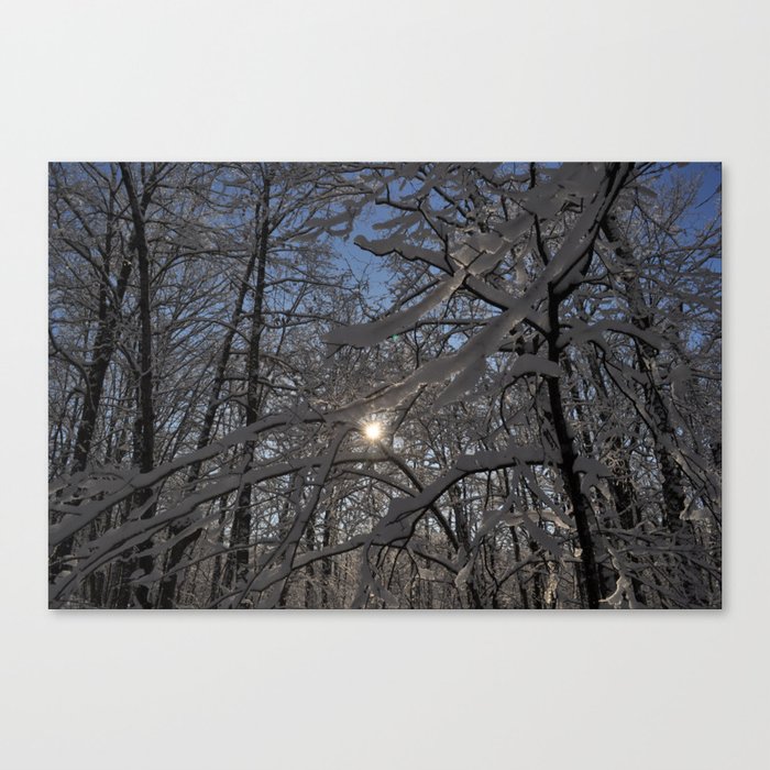 Into the Woods - Minnesota Canvas Print