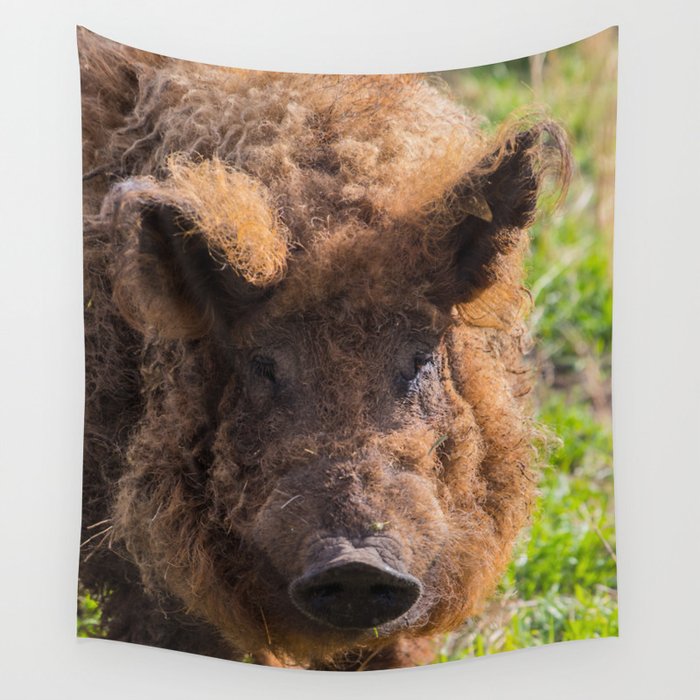 Pig tapestry best sale