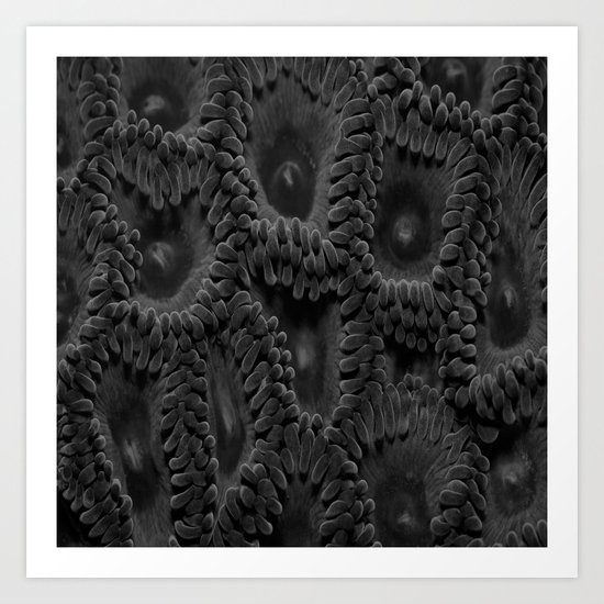 Eleven Shades of Gray Art Print