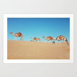 Camel fam Art Print